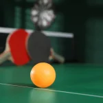 Was Sind Die Standard Tischtennisplatte Maße Nach ITTF-Richtlinien?
